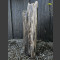 versteinertes Holz poliert 86cm