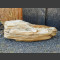 versteinertes Holz 403kg