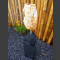 versteinertes Holz auf schwarzem Monolith 
