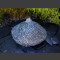 Findling Quellstein grauer Granit 25cm