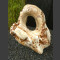 Showstone Skulptur Onyx 73cm