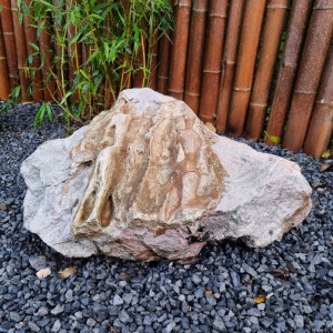 Monolith versteinertes Holz 80cm 