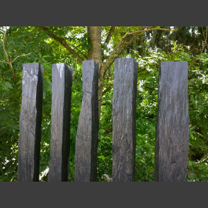 Monolith versteinertes Holz 80cm 