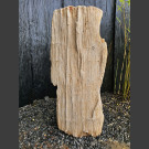 Bois pétrifié 82cm