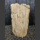 Bois pétrifié 67cm