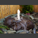 Fontaine jet d'eau moussant lave 65cm