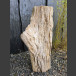 Bois pétrifié 78cm