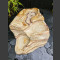 Fontaine set complet Cascade Cours d'eau en Onyx 