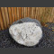 Gneiss Bloc erratique naturelle 45cm de haut