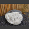 Gneiss Bloc erratique naturelle 45cm de haut