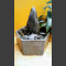 Fontaine d’intérieur set Bloc erratique gris-noire 25cm en bassin de granit hexagonaln