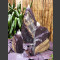 Fontaine Triolithes schiste violet  50cm