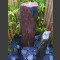 Fontaine Triolithes schiste gris-brun 95cm2