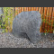 Roche Schiste gris-noir arrondi 67cm
