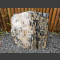 Bois pétrifié poli 56cm