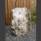 Bois pétrifié poli 56cm