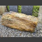 Bois pétrifié 60cm longueur
