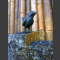Oiseau chanteur Bronze sur Basalte