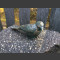 Bronze Oiseau sur Basalte