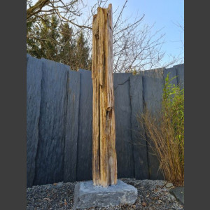 versteend Hout 80cm, gepolijst