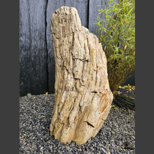 versteend Hout 80cm, gepolijst