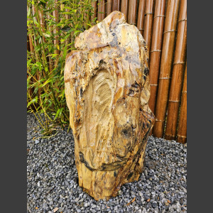 versteend Hout 80cm, gepolijst