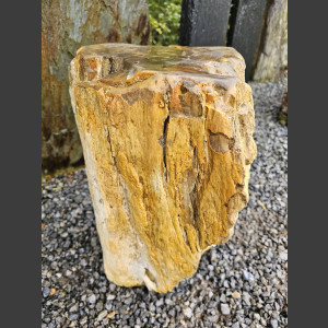 versteend Hout 80cm, gepolijst
