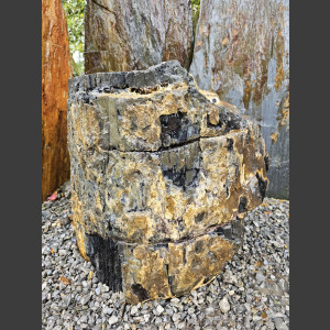 versteend Hout 80cm, gepolijst