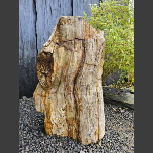 versteend Hout 80cm, gepolijst