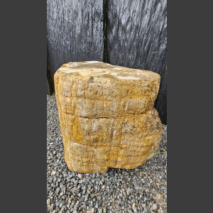 versteend Hout 80cm, gepolijst