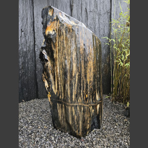 versteend Hout 80cm, gepolijst