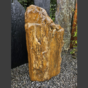 versteend Hout 80cm, gepolijst