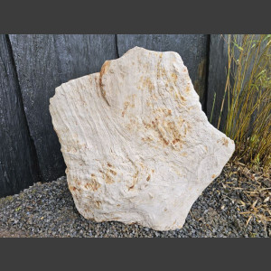 versteend Hout 80cm, gepolijst