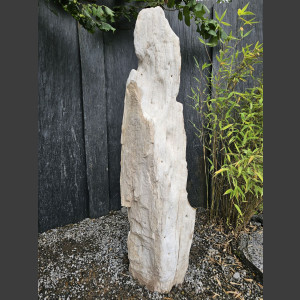 versteend Hout 80cm, gepolijst
