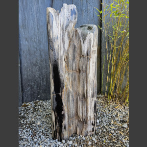 versteend Hout 80cm, gepolijst