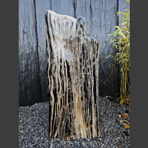 versteend Hout 80cm, gepolijst