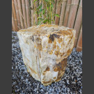 versteend hout 45cm