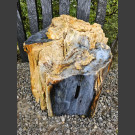 versteend hout 45cm