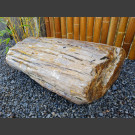 versteend hout boomstam liegen 73cm