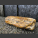 versteend hout 19cm