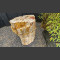 versteend hout 75cm
