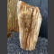 versteend Hout 62cm