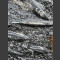 Nero Fossile Orthoceras Monolith 93cm 