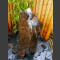 Compleetset fontein grijs bruin leisteen 95cm2