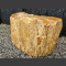 versteend hout 35cm