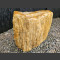 versteend hout 35cm