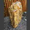 versteend hout gepolijst75cm