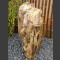 versteend hout gepolijst75cm