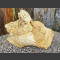 versteend hout 44cm