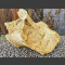 versteend hout 44cm